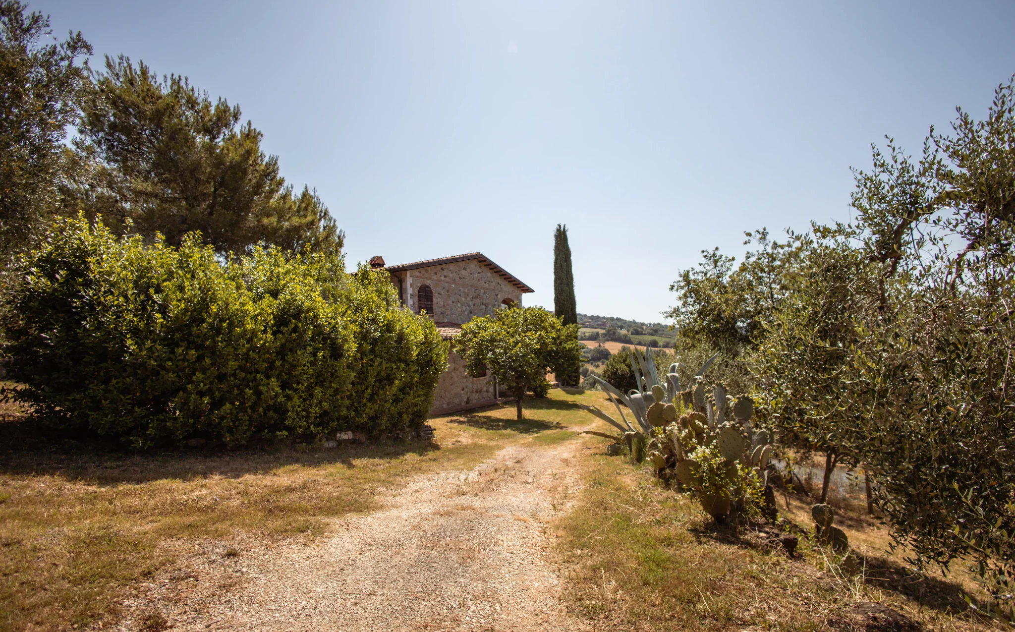 Casa di campagna in pietra immersa nel verde con alberi e sentiero.