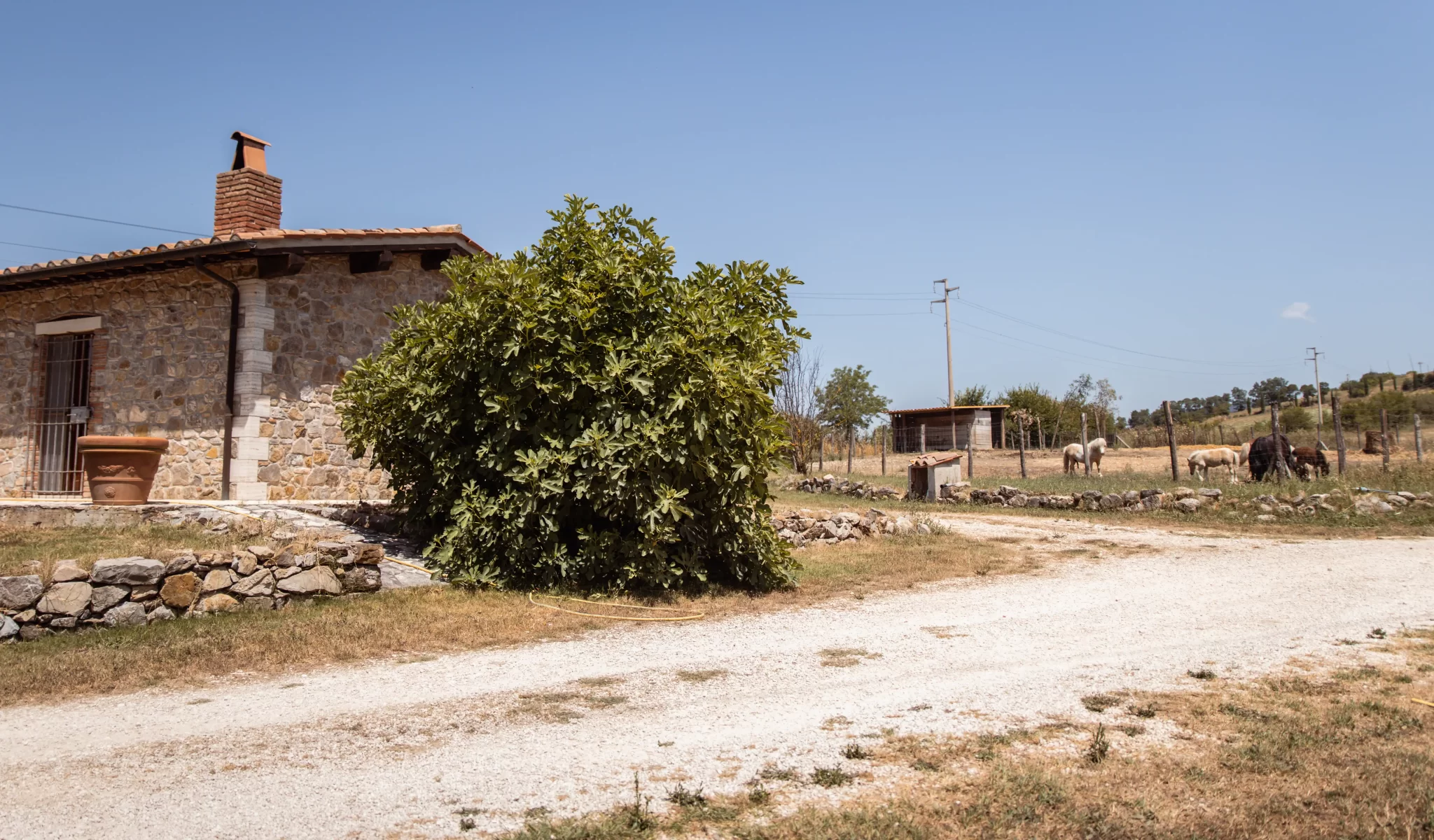Casa di pietra con giardino e cavalli al pascolo in un paesaggio rurale.