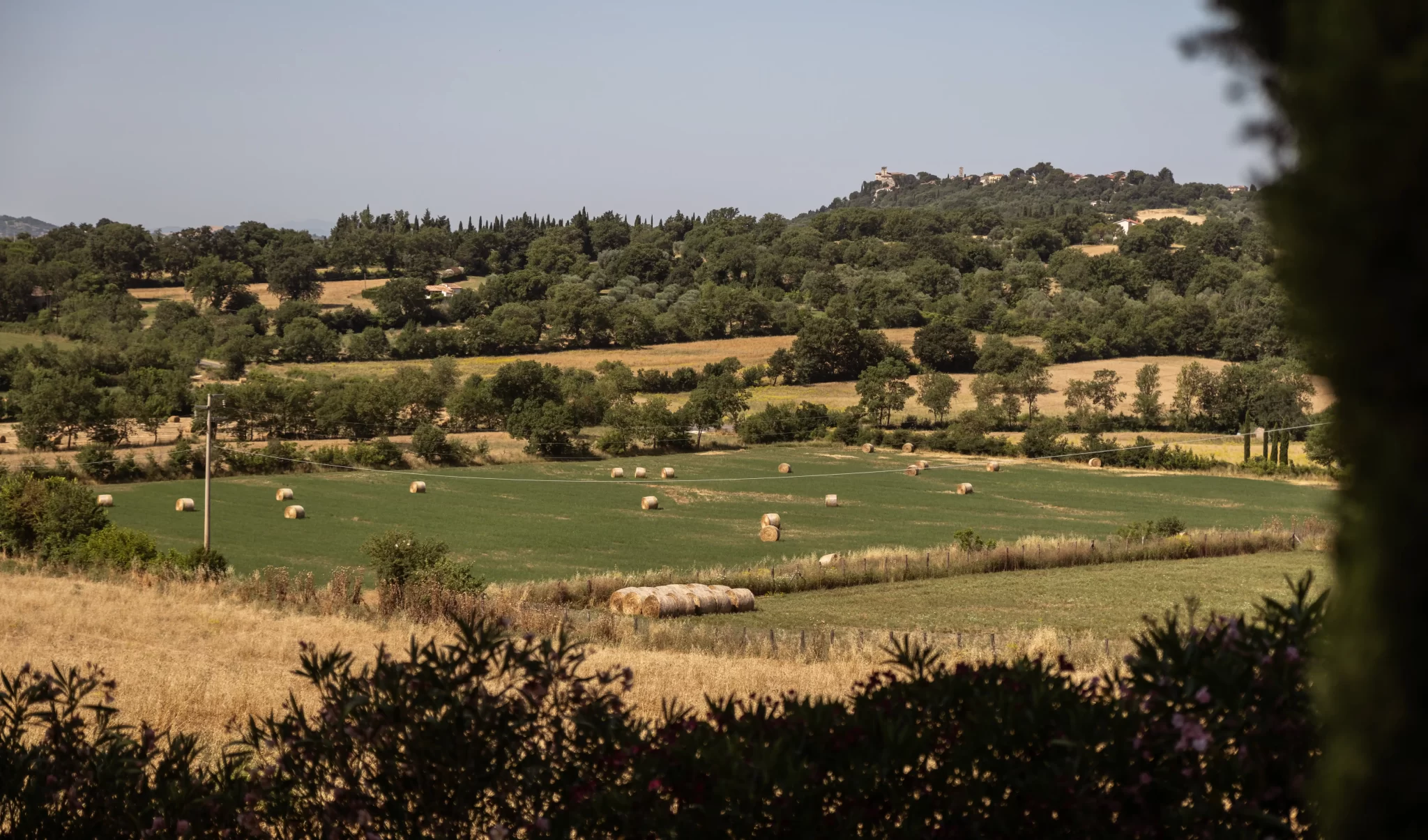 Paesaggio rurale con rotoballe su un prato verde e colline alberate sullo sfondo.