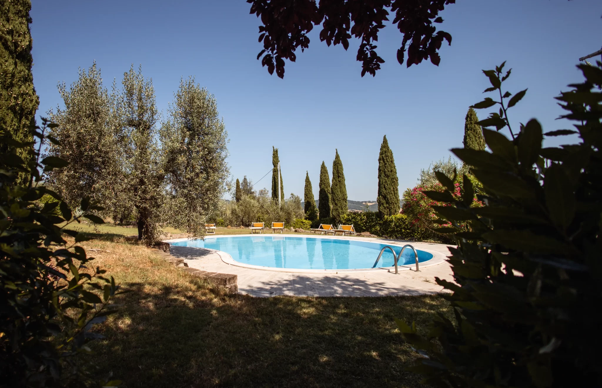 Piscina all'aperto circondata da cipressi e vegetazione.