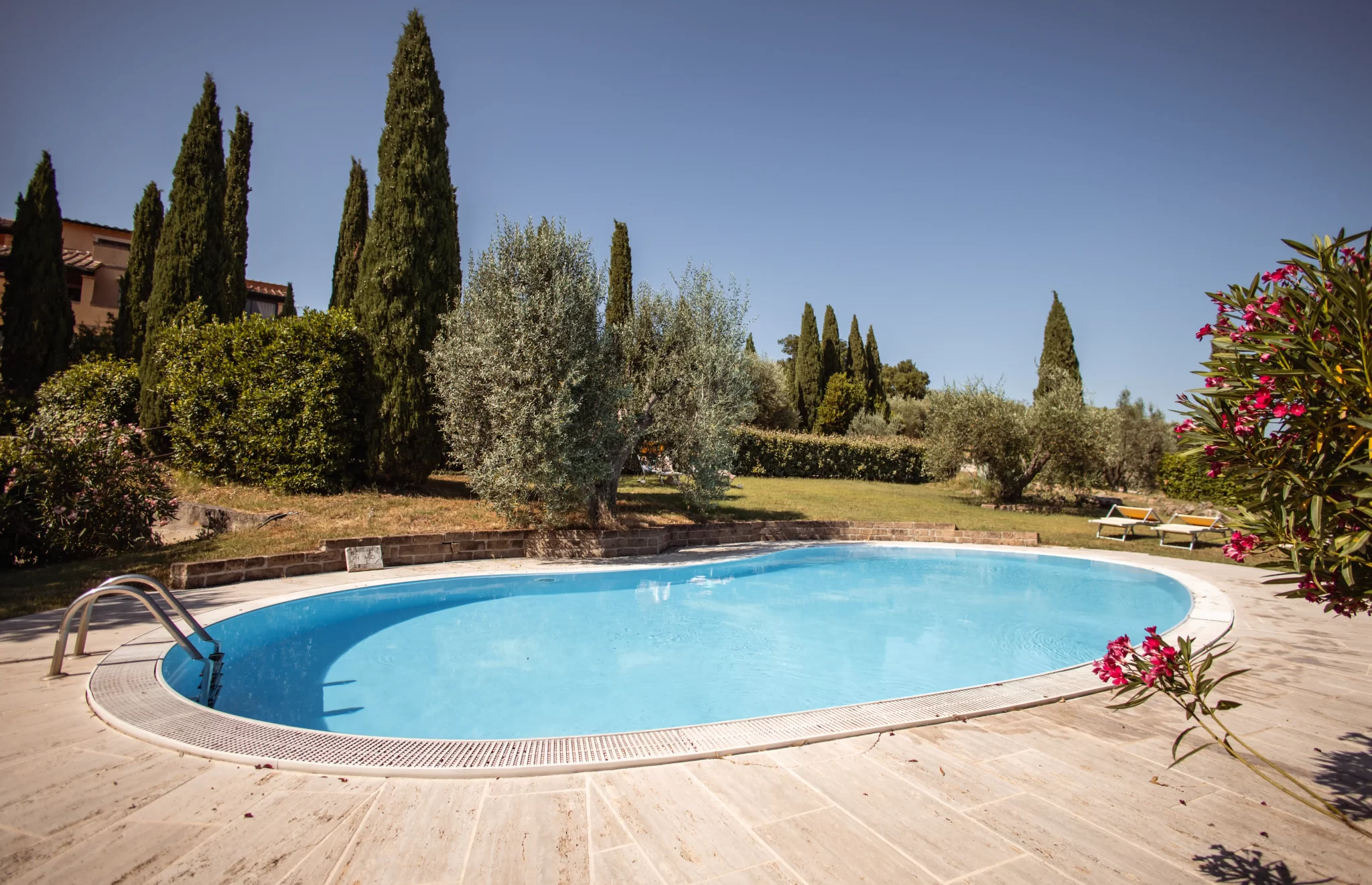 Piscina all'aperto circondata da cipressi e vegetazione.