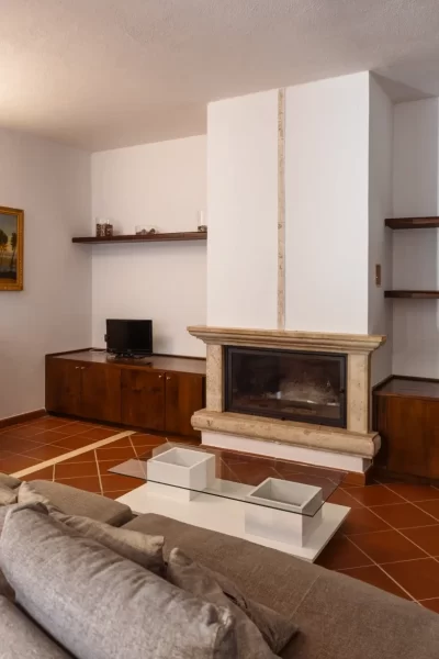 Salotto accogliente con camino, divano grigio e arredamento classico in legno.