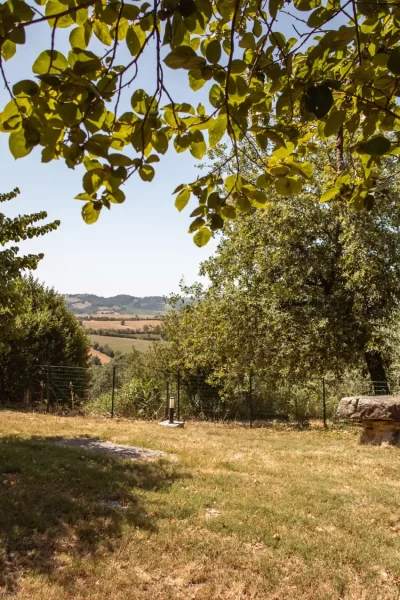 Vista di un giardino ombreggiato con alberi e un paesaggio collinare sullo sfondo.
