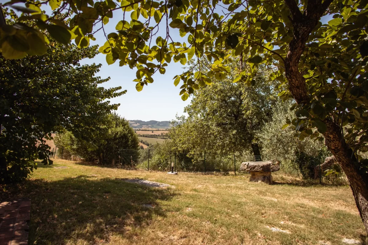 Vista di un giardino ombreggiato con alberi e un paesaggio collinare sullo sfondo.