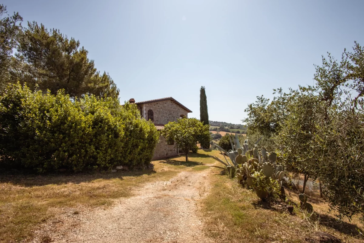 Casa di campagna in pietra immersa nel verde con alberi e sentiero.