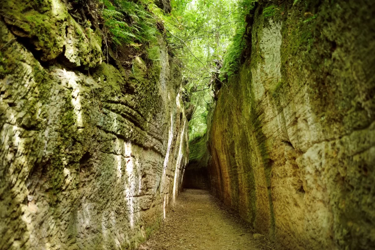 Sentiero naturale tra pareti rocciose coperte di muschio e vegetazione.