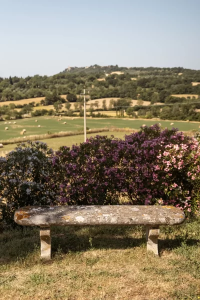 Panchina di pietra davanti a un paesaggio collinare con cespugli fioriti.