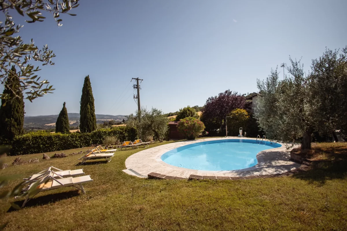 Piscina all'aperto circondata da cipressi e sdraio su un prato verde.
